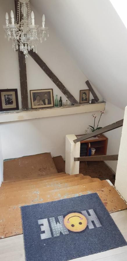 Ferienwohnung Salamander بيرنا المظهر الخارجي الصورة