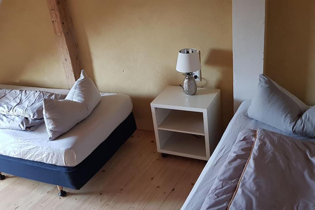 Ferienwohnung Salamander بيرنا المظهر الخارجي الصورة